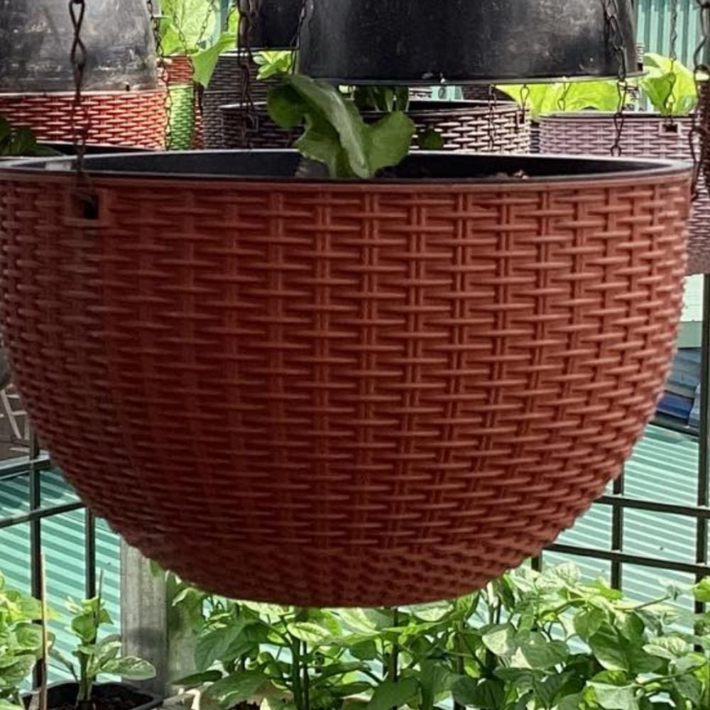 LỄ CƯỚI NHÀ NỮ 1