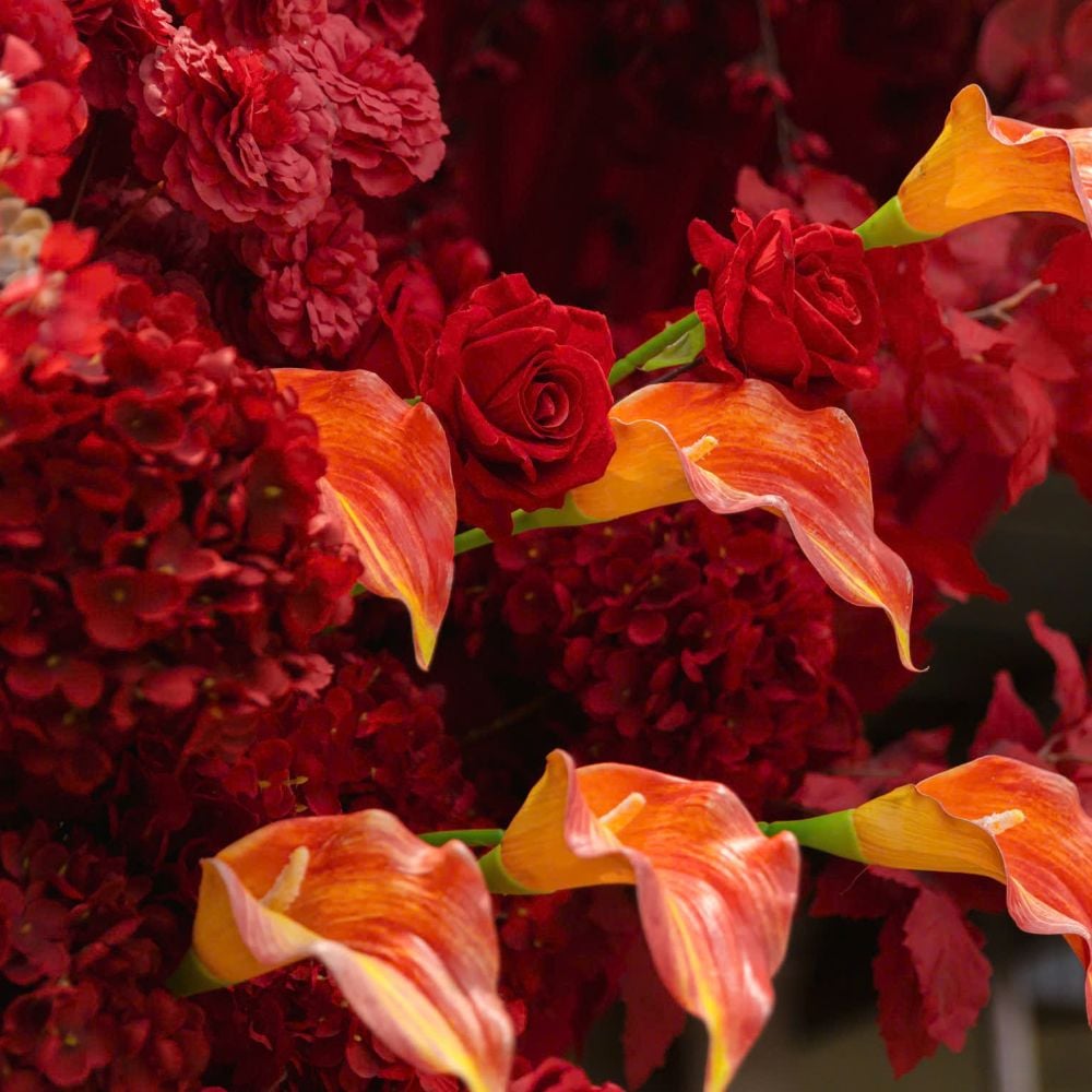 TIỆC CƯỚI NHÀ TRAI